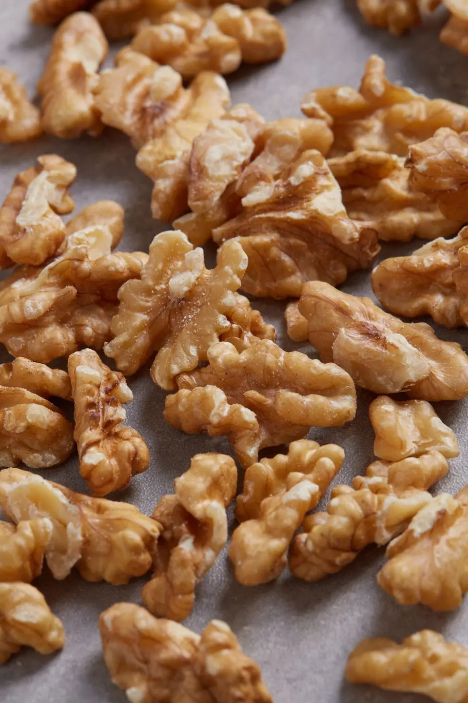 Imagen 5
