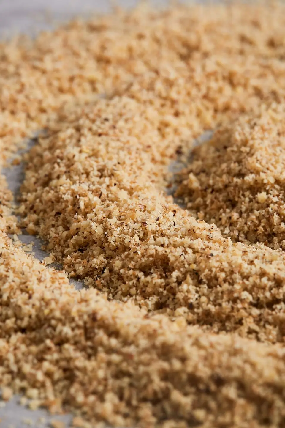 Imagen 5